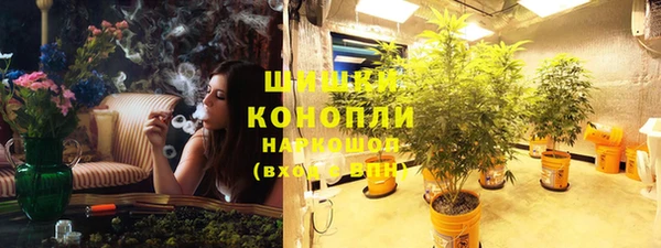 PSILOCYBIN Магас