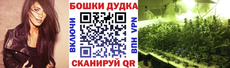 Бошки марихуана конопля  mega ссылка  Фурманов  закладки 